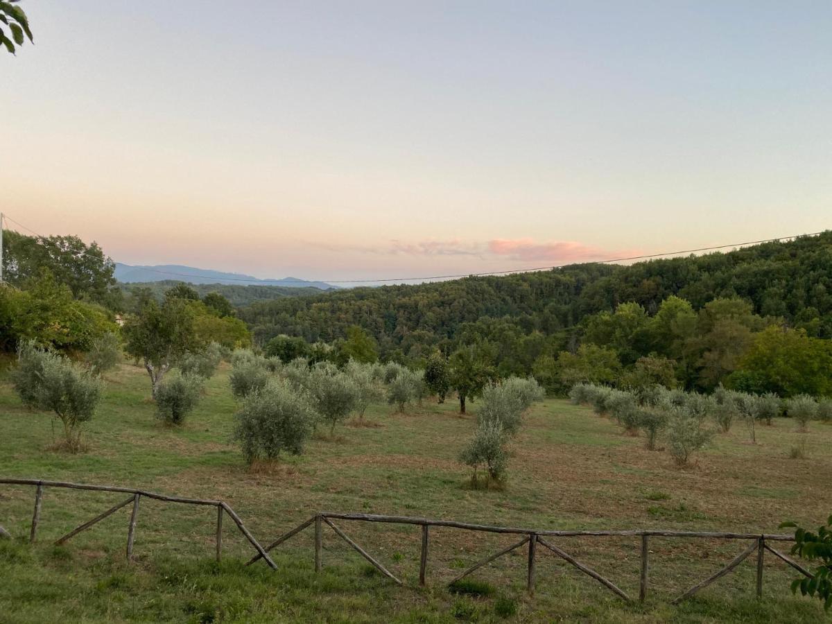 Agriturismo Borgo Serafino Mangone  Exterior foto